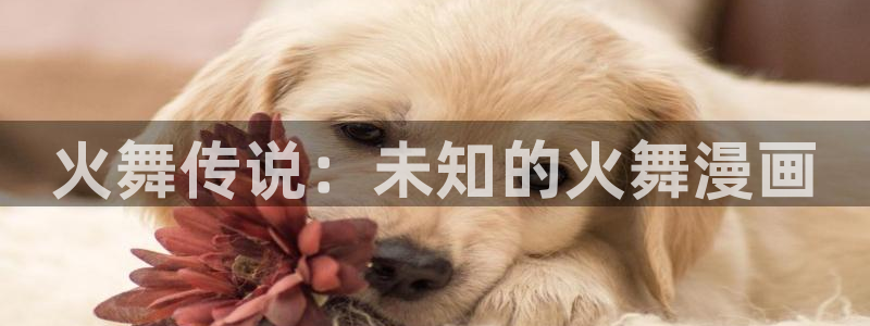 耽美漫画免费看