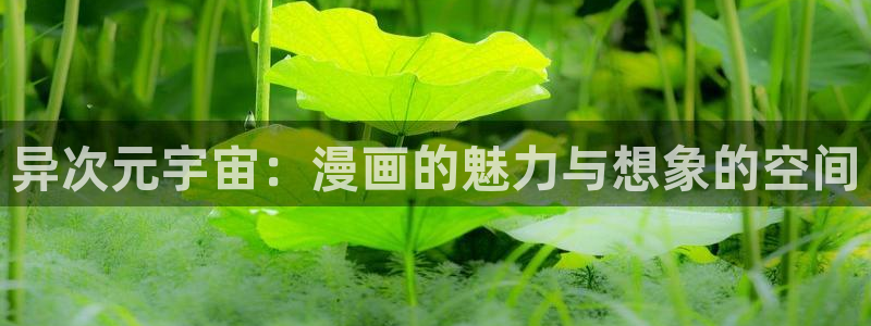耽美漫画网