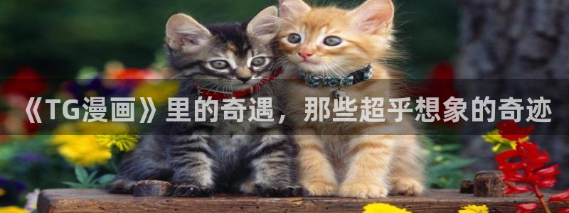 耽美漫画未删减