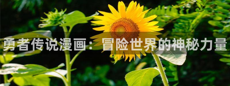 耽美漫画在线观看