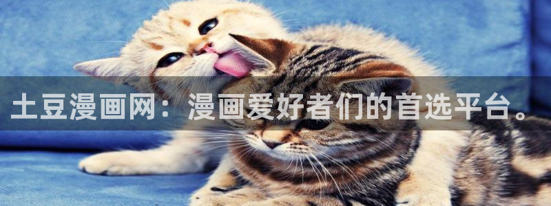 耽美漫画免费无删减